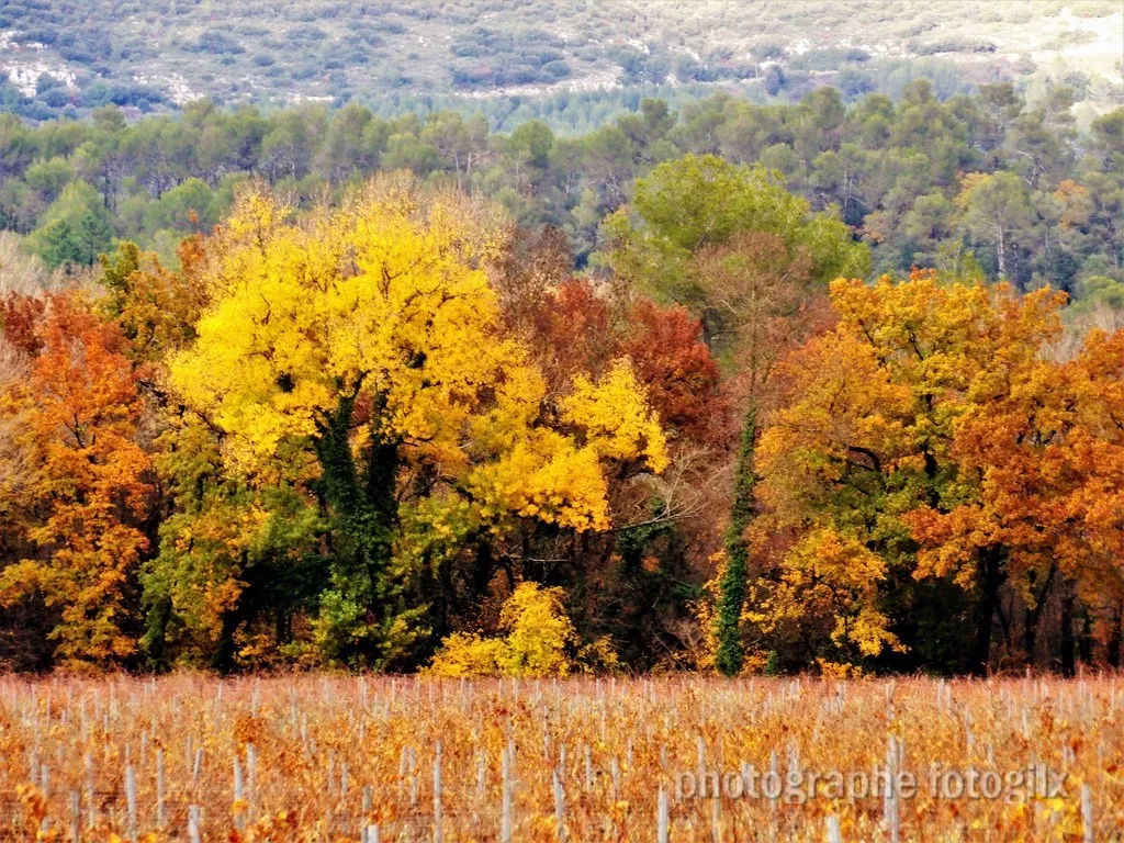 automne var