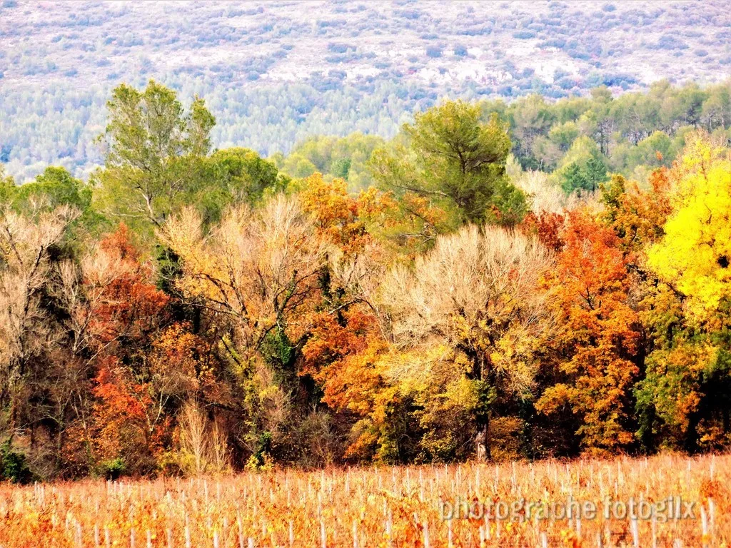 automne var