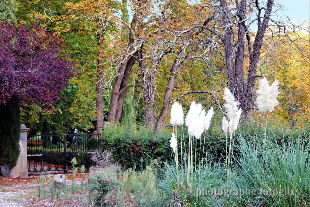 automne var