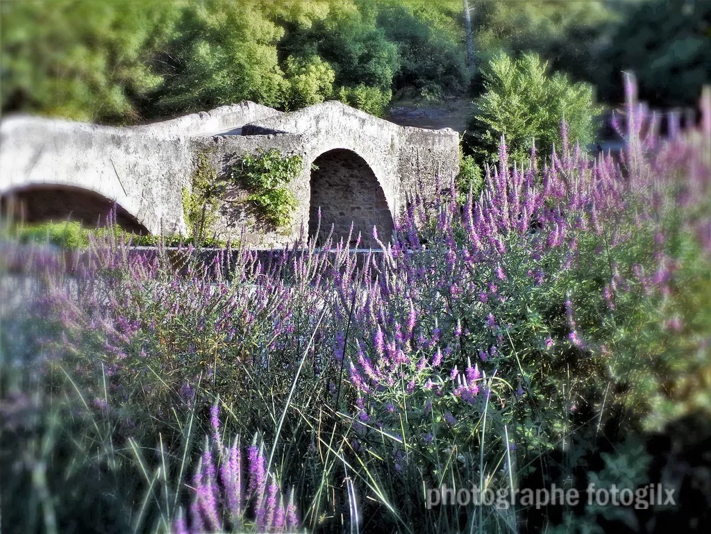 paysage var