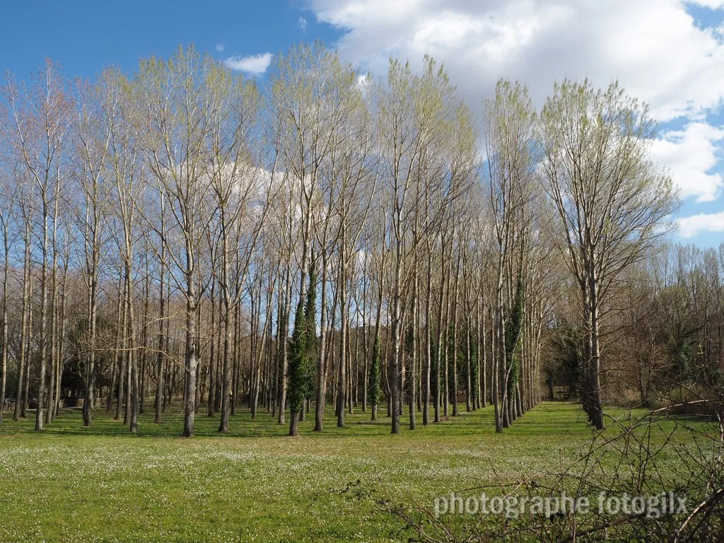 paysage var