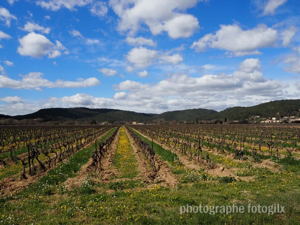 paysage var