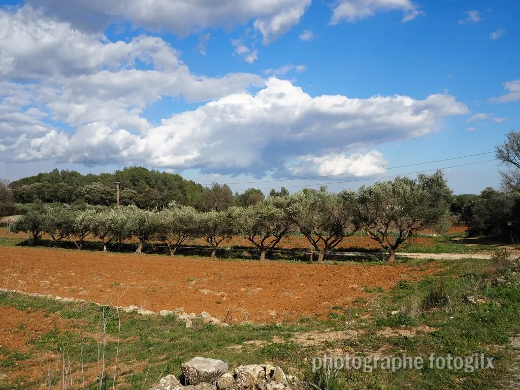 paysage var