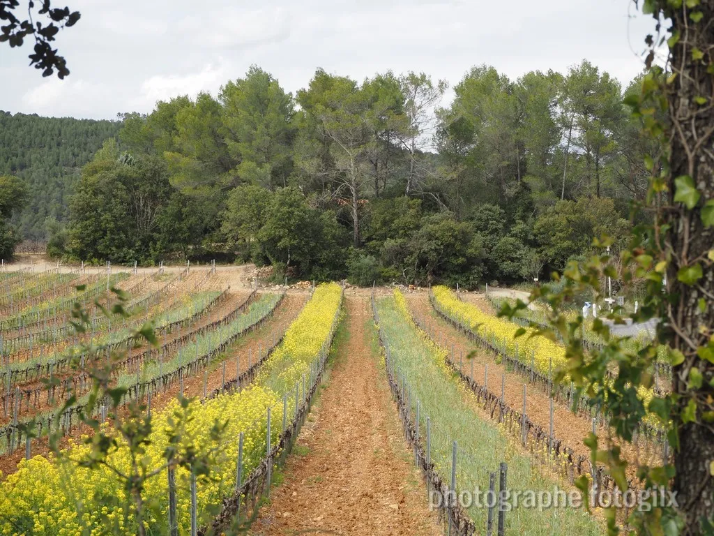 paysage var