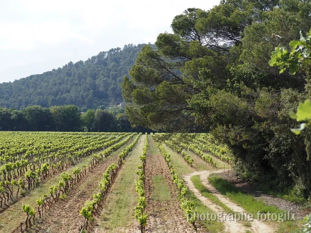 paysage var