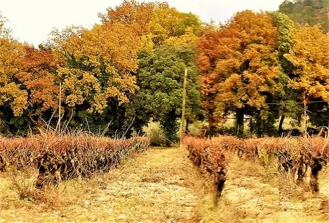 automne var
