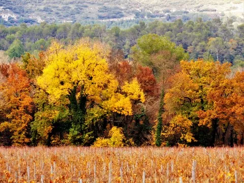 automne var