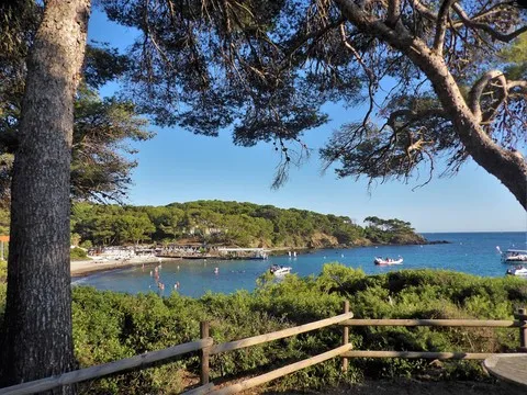 mer var