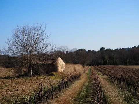 nature var