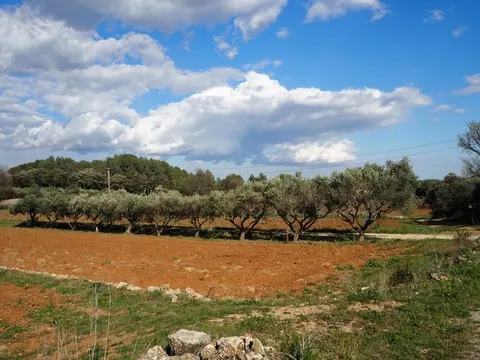 paysage var