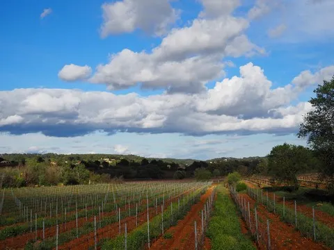 paysage var