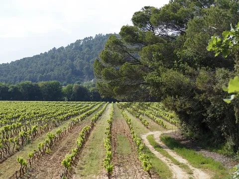 paysage var