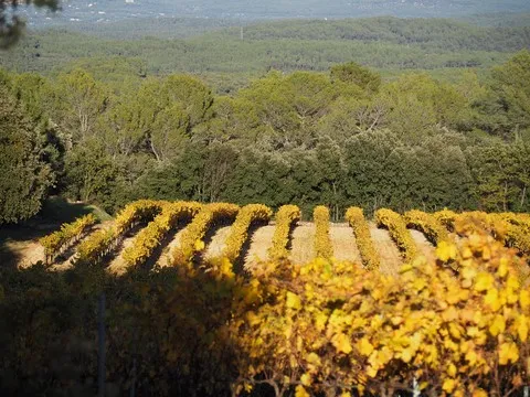 paysage var