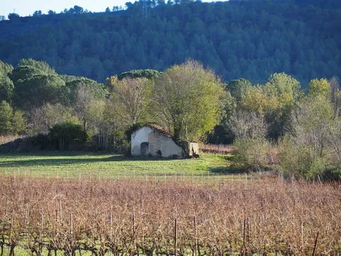 paysage var