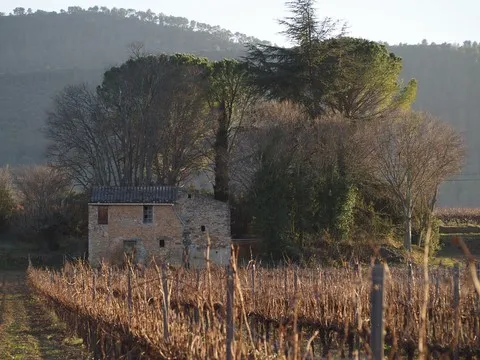 paysage var