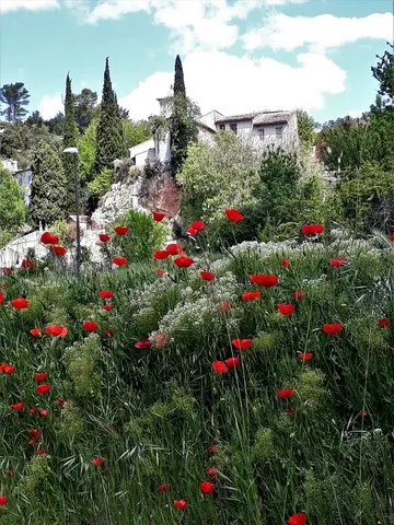Accueil paysage var